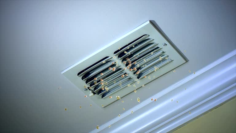 Best Best Air Duct Cleaning Company  in Wood Dale, IL
