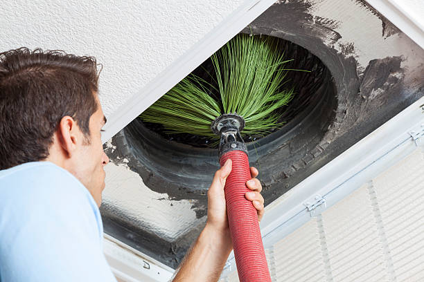 Best Home Air Vent Cleaning  in Wood Dale, IL